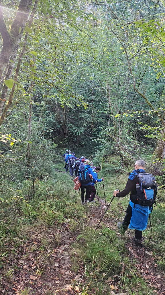 Z 2025-10-12 a las 18.43.41 2422e77e